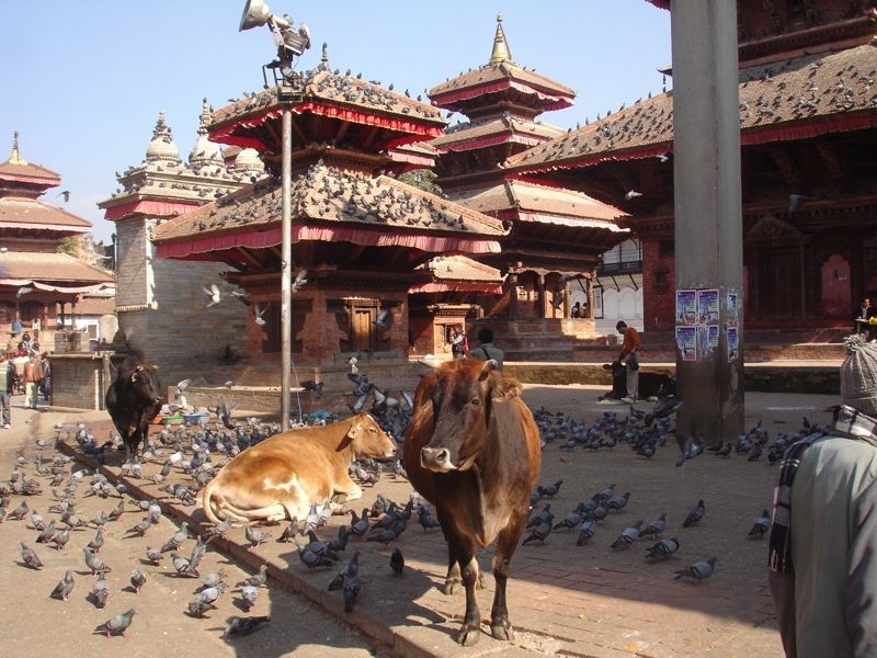 Nepal: fotos